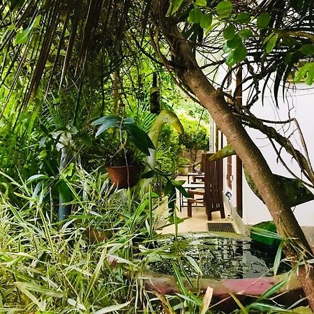Green Jade Inn Mirissa Extérieur photo