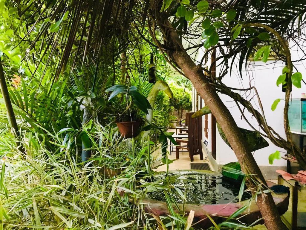 Green Jade Inn Mirissa Extérieur photo
